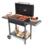 Gratar Гриль-Мангал МАН 205 100101 - фото 1916