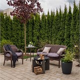 Чугунный очаг S - серия 60 10092 - фото 2794 Чугунный очаг S - серия 60 10092 - фото 2794