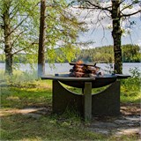 Чугунный очаг S - серия 80XL 10093 - фото 2801